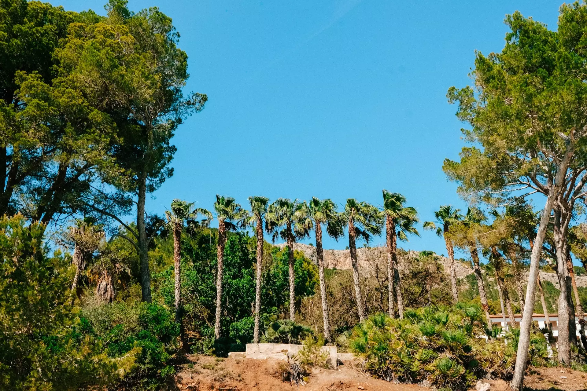 ✈ Mallorca by Road: 7-Day Must-See Spots with Air & Hotel from Worldee