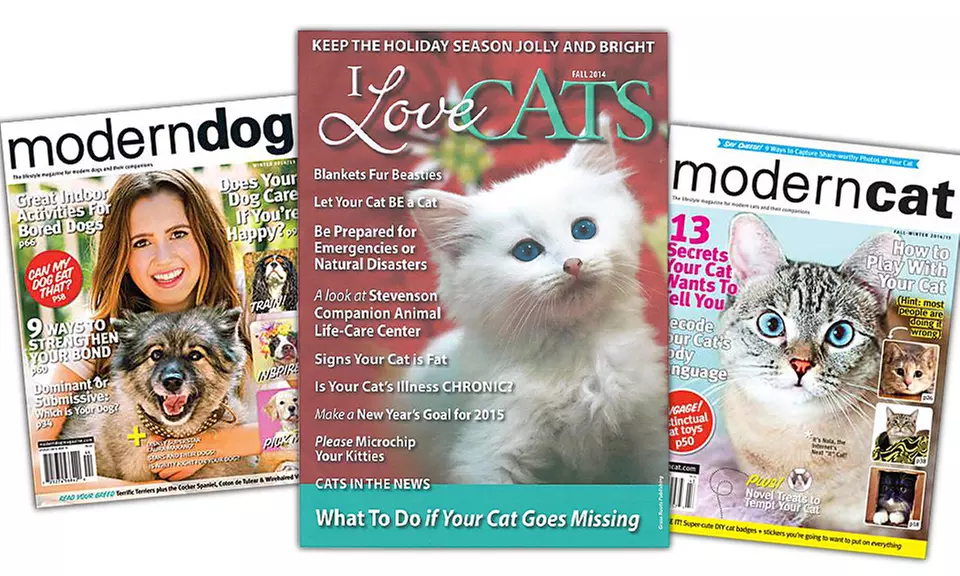 1- or 2-Year Subscription to Modern Dog, Modern Cat, or I Love Cats Magazines from $8–$13 - Primary Image