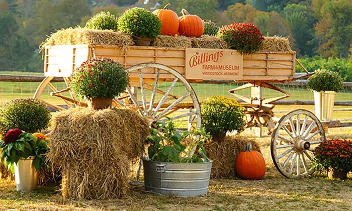 Experience Billings Farm And Museum's History Museum