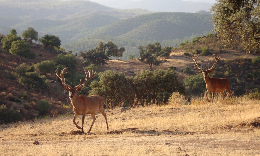 Image 3: Hasta 56% de dto. en CENTRO ANDALUZ DE LA FAUNA SALVAJE