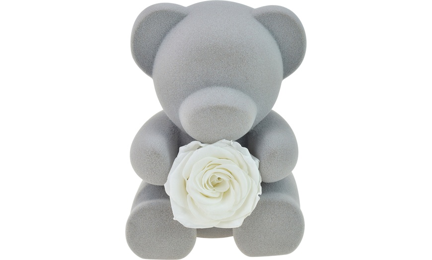 Image 3: Sieradendoos met teddybeer en echte roos van het merk SC Crystal