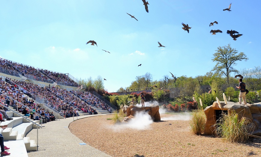 Image 9: Entrée 1 ou 2 jours au ZooParc de Beauval