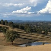 Image 5: Melbourne Stay & Taste of Yarra Valley: 3 Nights w/ Wine & Whisky Tour