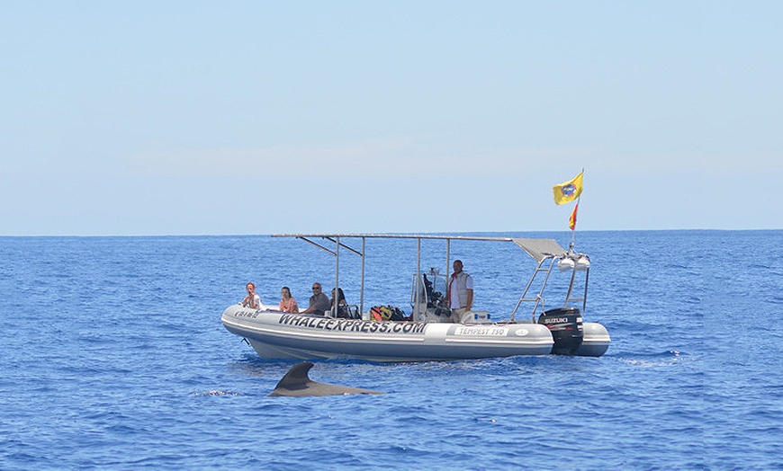 Image 1: Paseo en barco para 2 personas