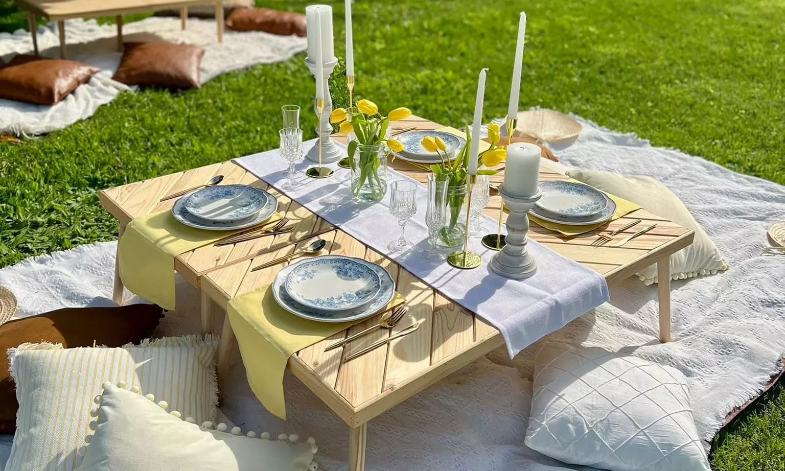 Elegant Picnics for Couples, Groups with Themed Décor for Two or Four