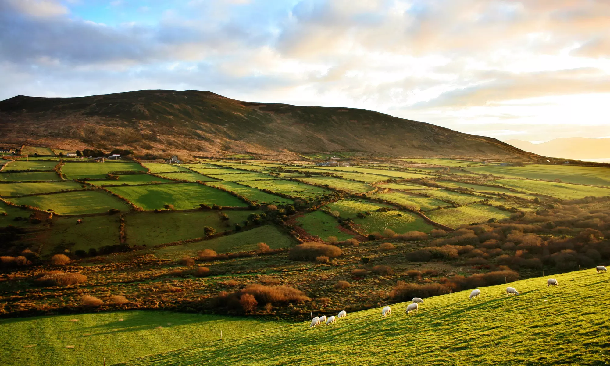 ✈ 7-Day Ireland Vacation with Airfare & Rental Car. Price per Person Based on Double Occupancy (Buy 1 Groupon/Person). - Primary Image