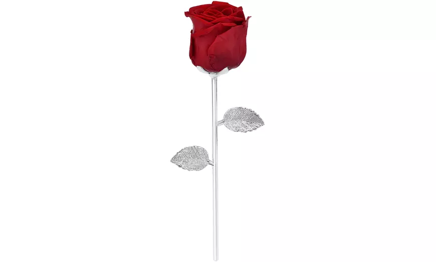 Image 2: Rosa eterna natural sobre un tallo de metal SC Crystal