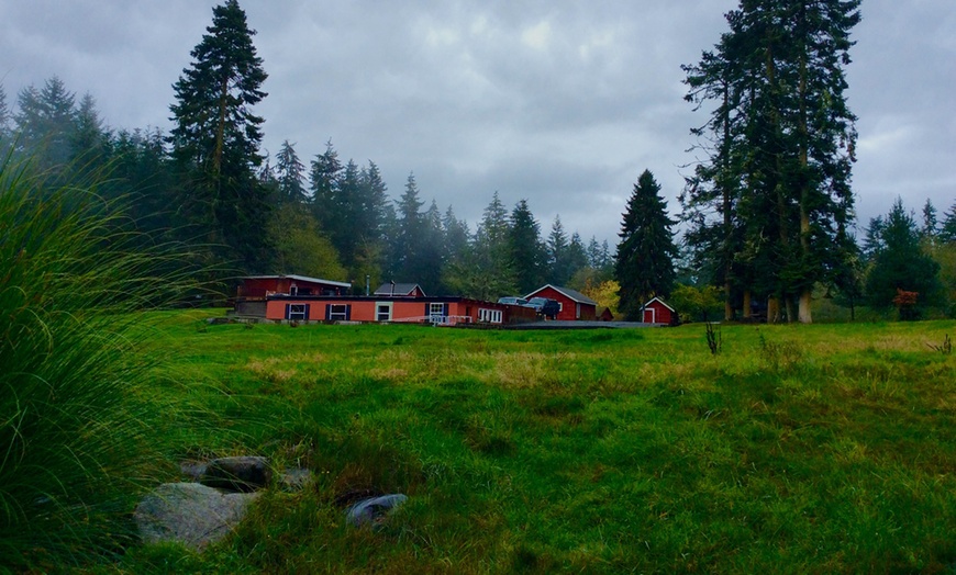 Image 8: Award-Winning Spirits Flight, Cocktail & FREE Glencairn Glass