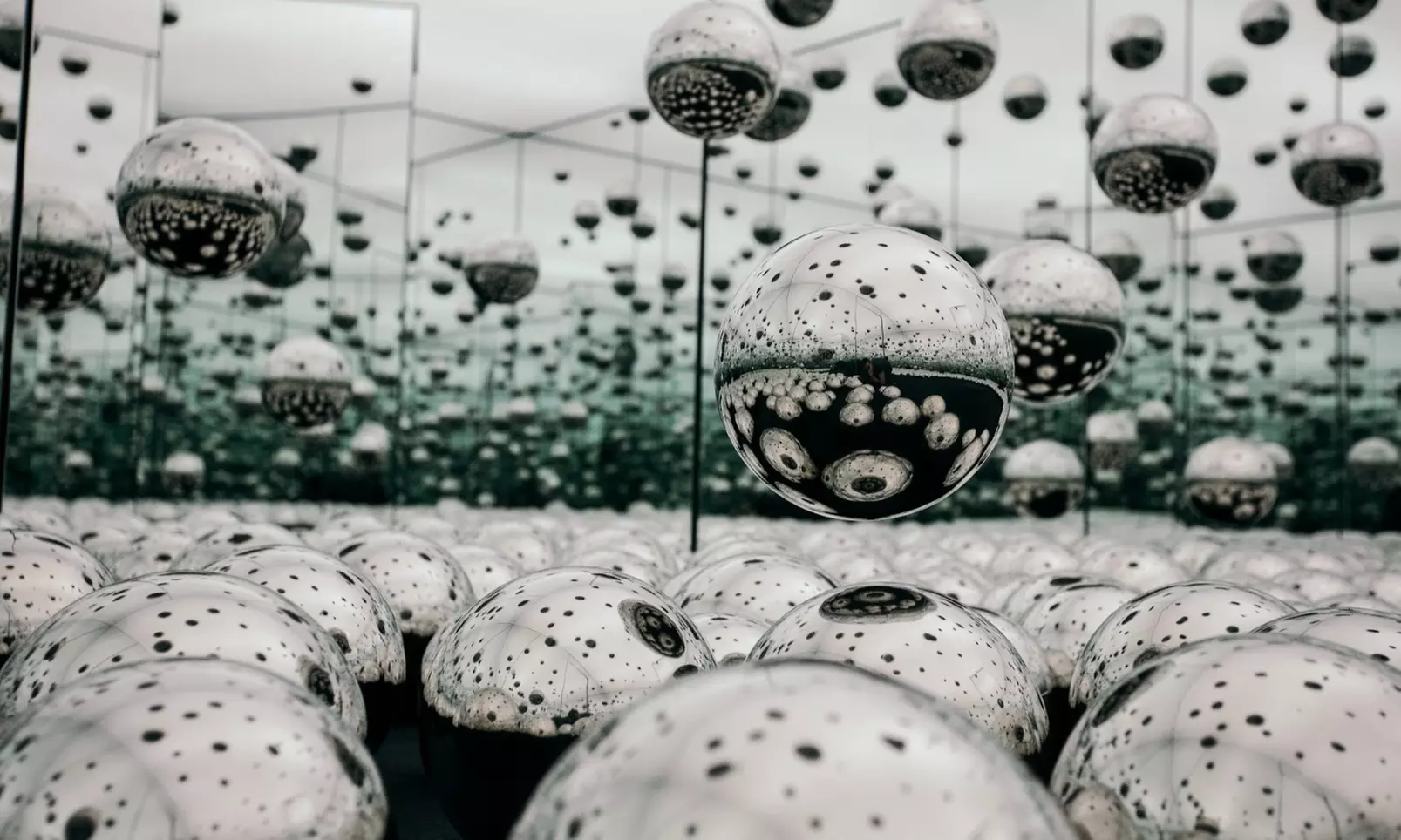 Admission to the Immersive Art Experience at WNDR Museum Boston