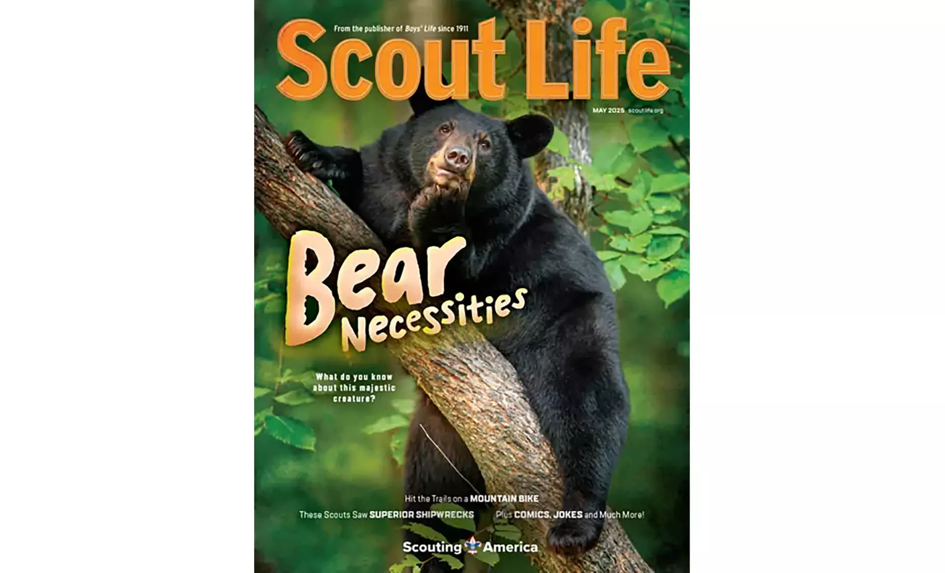 Scout Subscriptions One- or Two-Year Subscription to Scout Life Magazine - From $15 ...