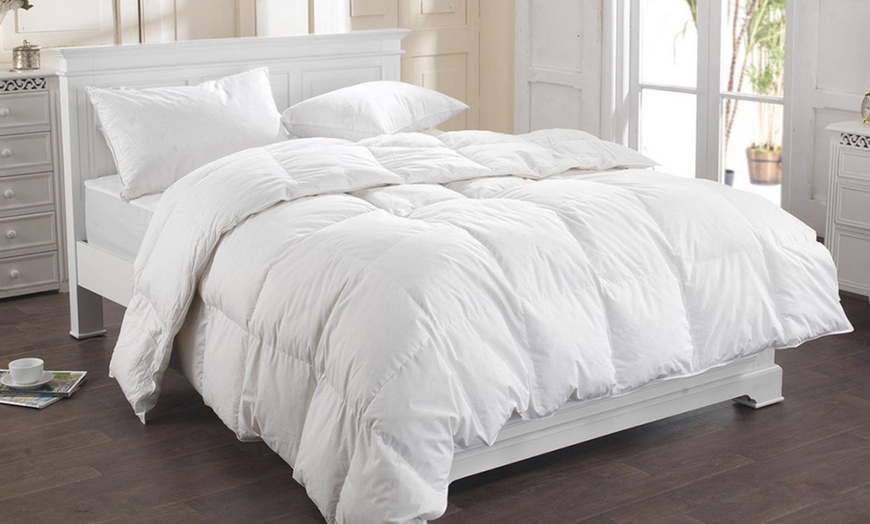 Image 2: Echtfeder-Bettdecke