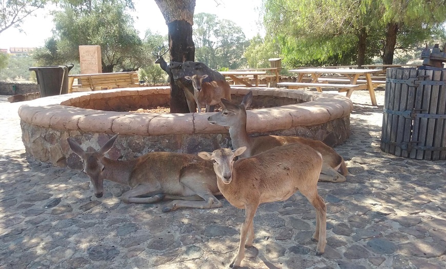 Image 22: Hasta 56% de dto. en CENTRO ANDALUZ DE LA FAUNA SALVAJE