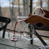 Image 4: Wine Making Experience + 2-Hour Guided Vineyard Tour