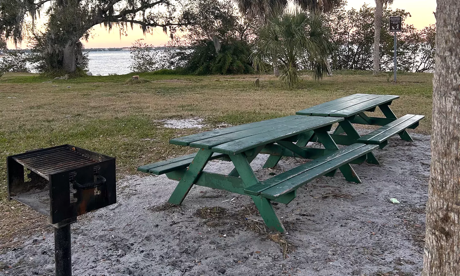 Kayak and Paddleboard Rentals in Safety Harbor, FL