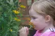 Boone County Arboretum Membership: Explore Nature & Save Up to 35% - Second Medium