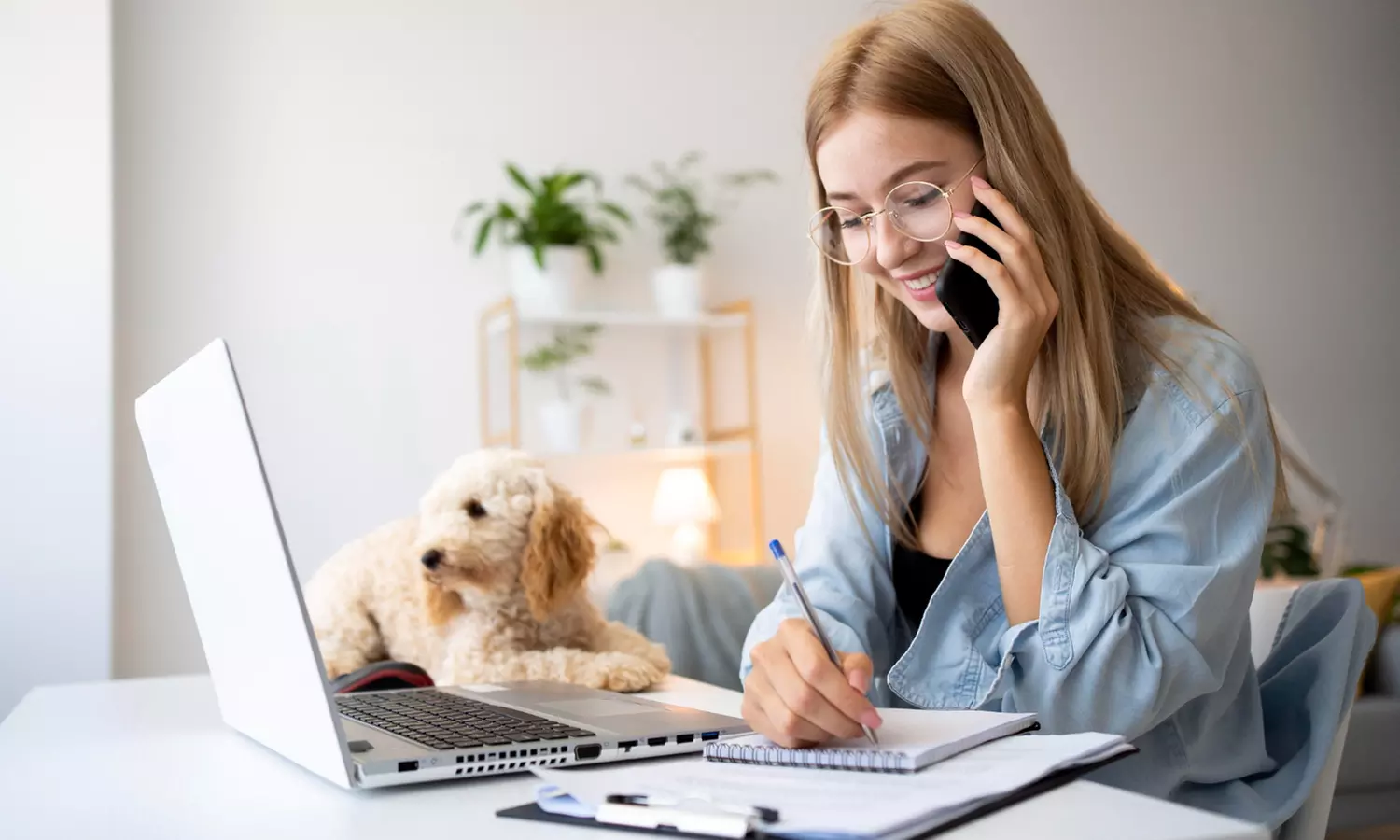 Análisis numerológico por videollamada (sesión de 30 minutos)