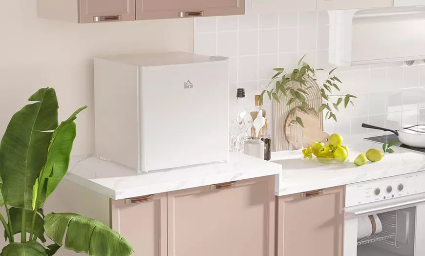 Image 1: HomCom Compact-Sized Fridge Selection