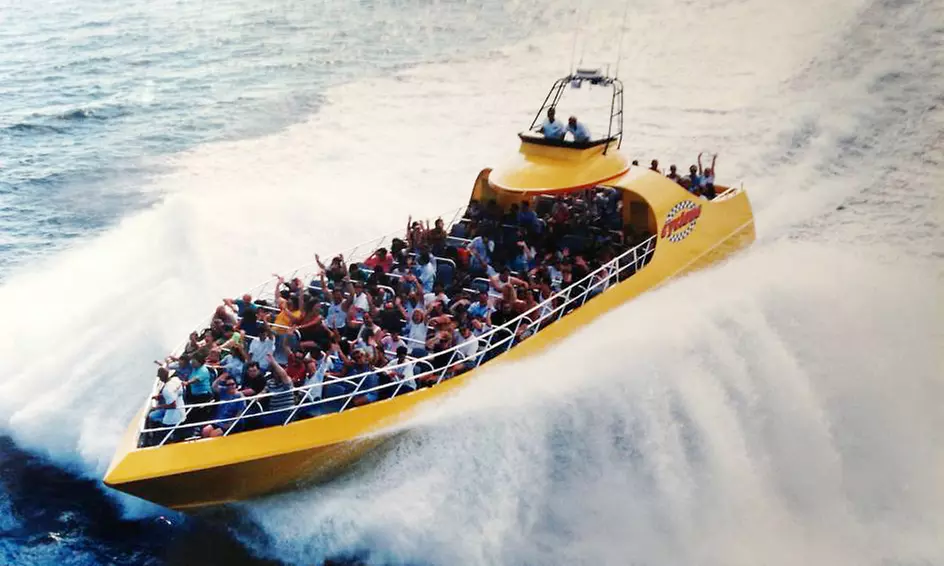 One-Hour High-Speed Boat Tour and Dolphin Watch for Two or Four at Cyclone Speedboat Tours (38% Off)  - Primary Image