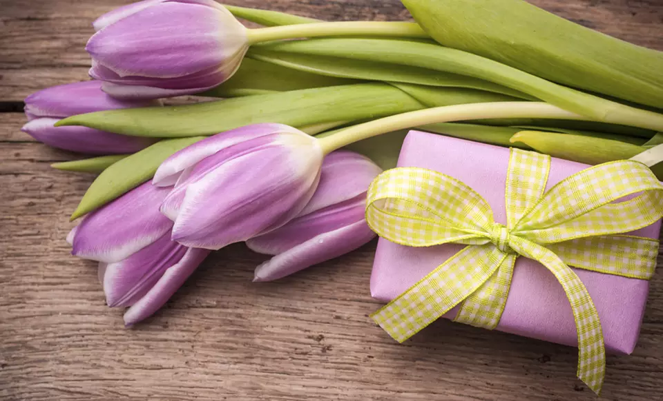Gifts, Books, Bibles, Music, Jewelry and other merchandise at Cedar Springs Christian Store (Up to 55% Off)  - Primary Image