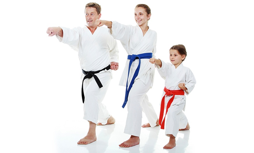 Image 1: Karate sessions