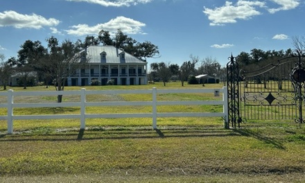 Single Plantation Tour for One - Crescent City Tours & Transportation New Orleans, LA