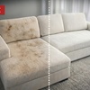 Image 3: Deep Carpet or Upholstery Cleaning with Eco-Friendly Techniques