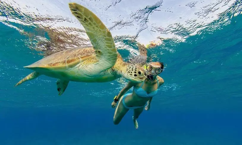 Embark w/ Northshore Circle Island Adventure for 1 Child,1 Adult