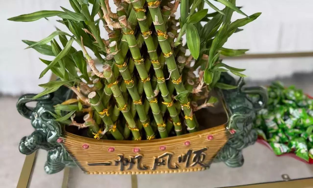 Relax Yourself with One or a Couple Full Body Massages