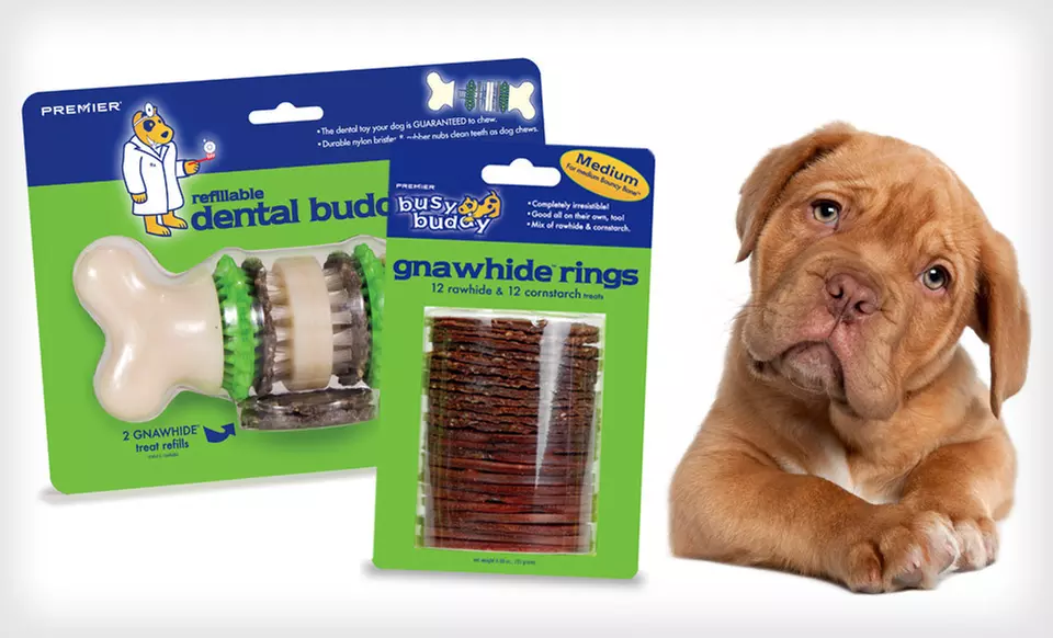 $9 for a Busy Buddy Treat-Holding Bristle Bone and a 24-Pack of Busy Buddy Gnawhide Ring Dog Treats ($20.98 List Price) - Primary Image