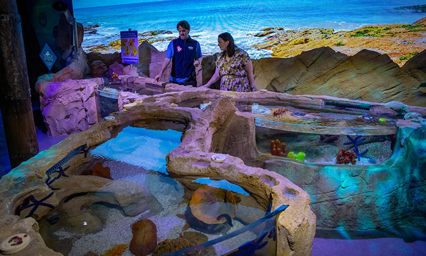 Image 4: Learn About 13,000+ Animals & 14 Themed Zones at Darling Harbour