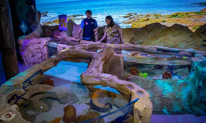 Learn About 13,000+ Animals & 14 Themed Zones at Darling Harbour