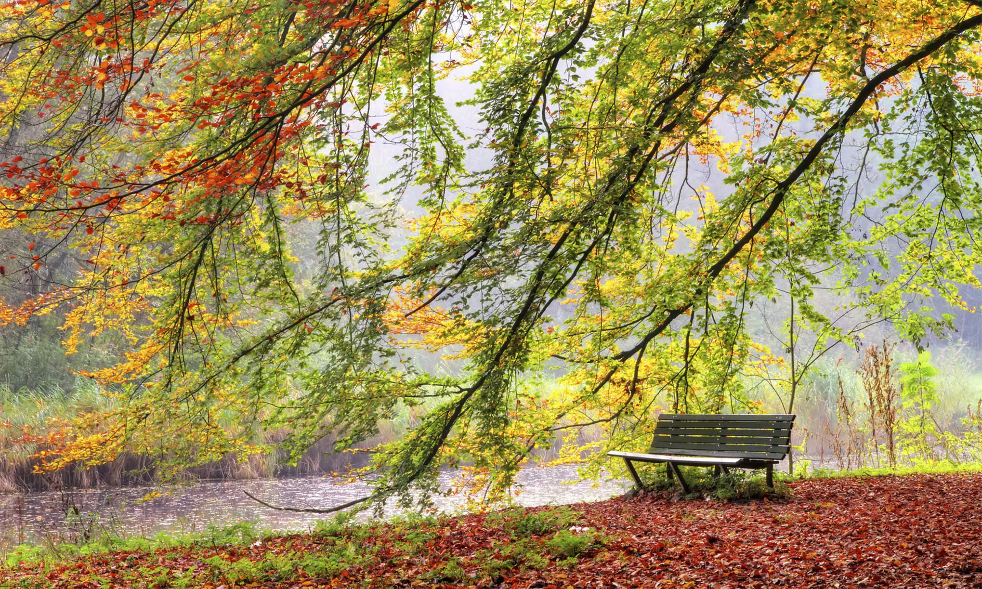Spreewald: 1 bis 5 Nächte für Zwei inkl. Selbstmacher-Frühstück im Herzen des Spreewalds in der Pension am Markt - Second Medium