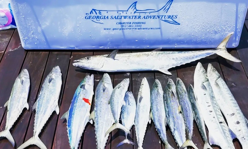 Image 8: 2- or 3-Hr Kid's Fishing Trip/4-Hr Large Shark Trips+ Tarpon (up to 6)