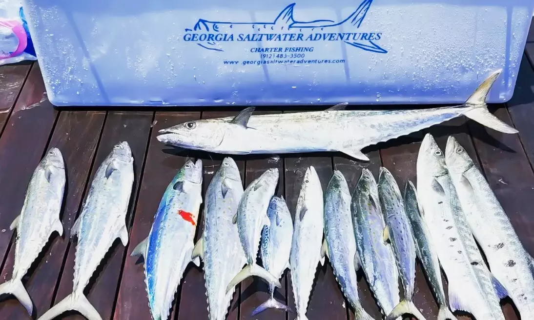 2- or 3-Hr Kid's Fishing Trip/4-Hr Large Shark Trips+ Tarpon (up to 6)