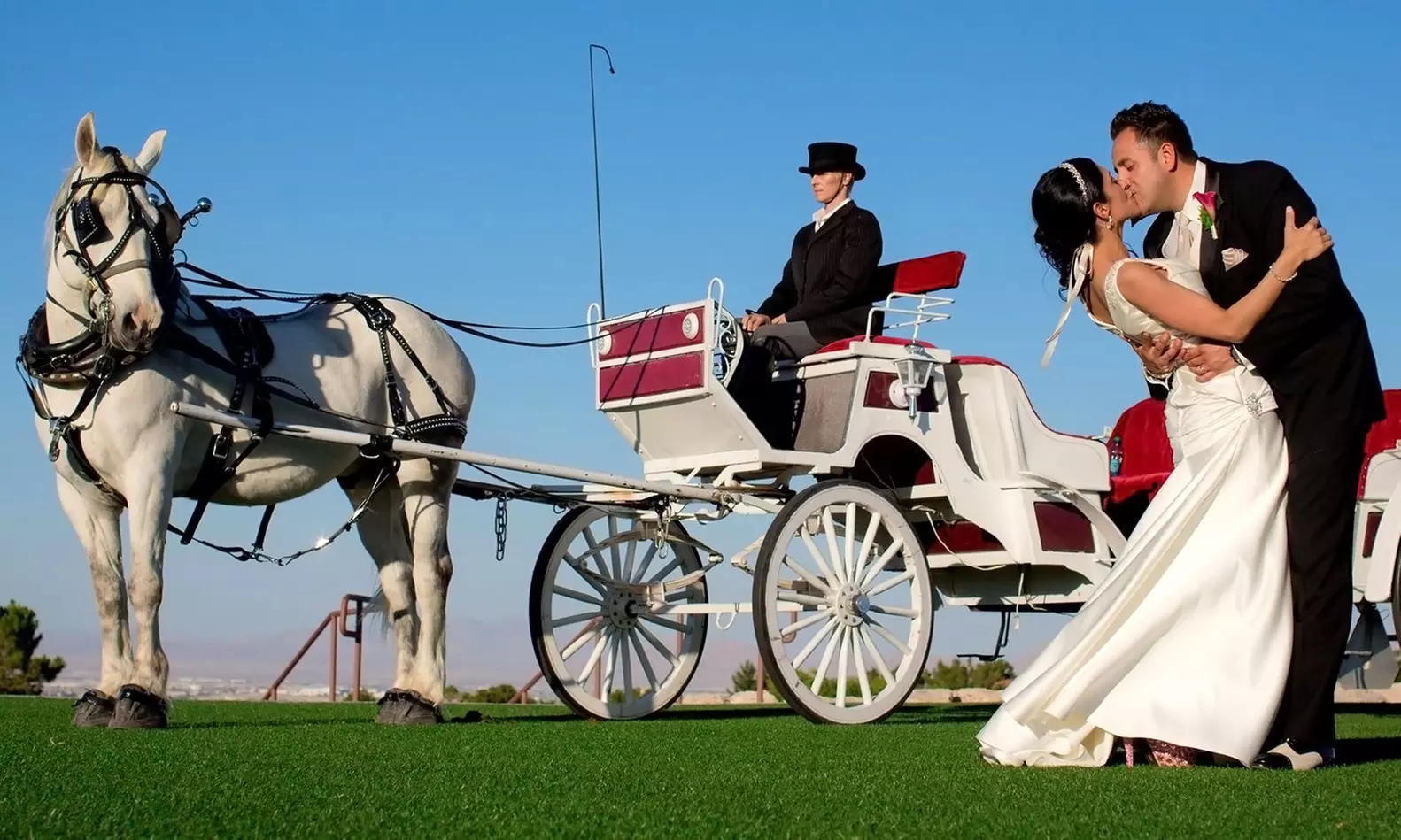 $104 for One 30-Minute Carriage Ride from MB's Horse & Carriage Co. ($200 Value) - Primary Image