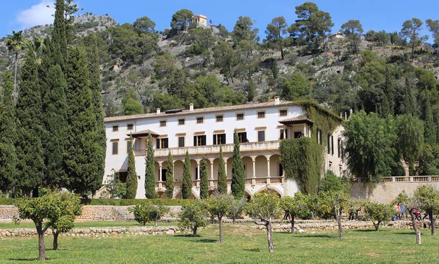 Image 6: Paseo a caballo y visita a finca mallorquina para 1 o 2 personas