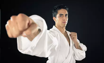 $50 for $100 Worth of Martial-Arts Lessons at Whites Martial Arts Academy Inc. - Primary Image