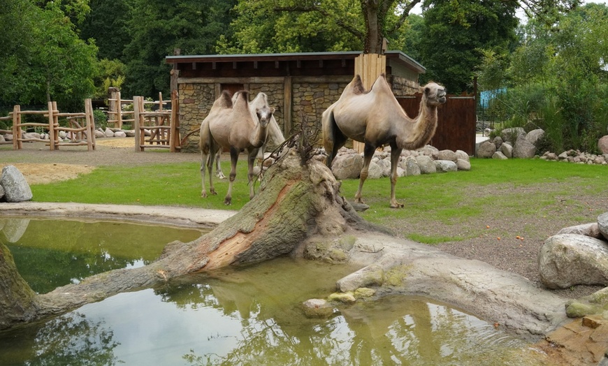 Image 7: Tiergarten Kleve – Ticket für 2 Erwachsene / 1 Kind, gültig bis 09.10.