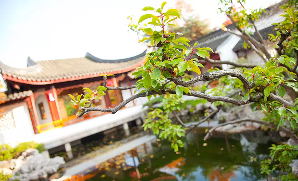 C$12 for Admission for Two to Dr Sun Yat-Sen Classical Chinese Garden (C$24 Value) - Second Medium