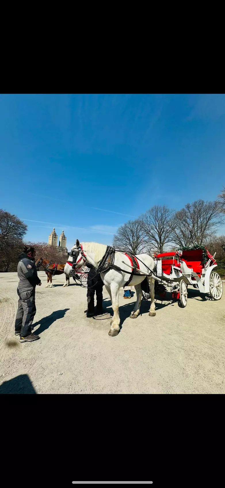 Explore Central Park in Style: 25-Min or 45-Min VIP Carriage Ride At Central Park Carriage Tours (Up to 15%Off) - Second Medium