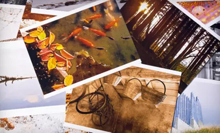$7 for a Full Set of Passport Photos or 50 4"x6" Prints from Japan Camera ($17 Value) - Primary Image