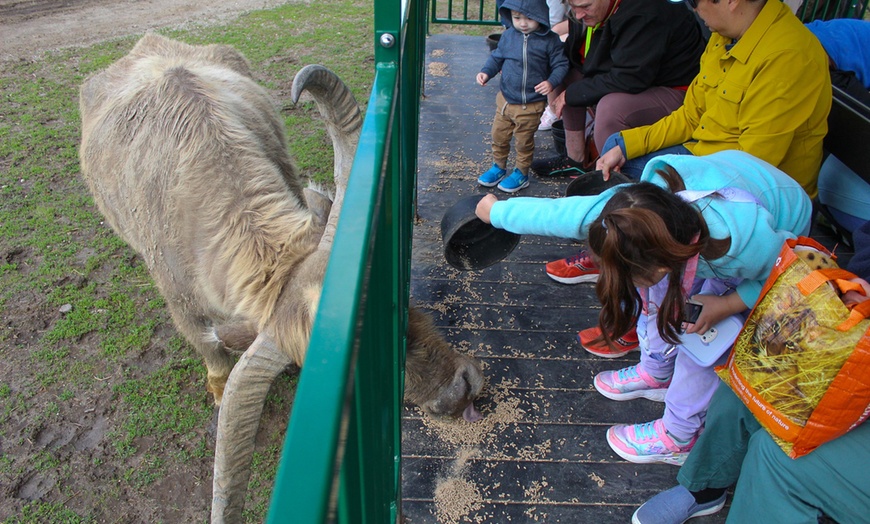 Image 4: Safari Park Passes with Drive Through and Walk Through Access