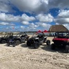 Image 5: 90 Min Guided Off-Road Mud or Trail Tours with ATVs & 2026 Polaris RZR