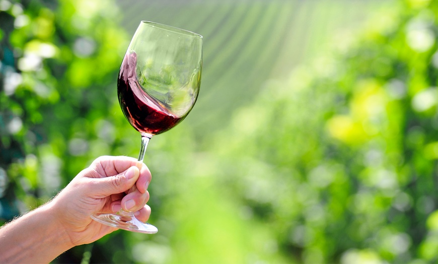 Image 1: Wine Tasting for Up to 4 People with $5 Credit Towards Bottles of Wine