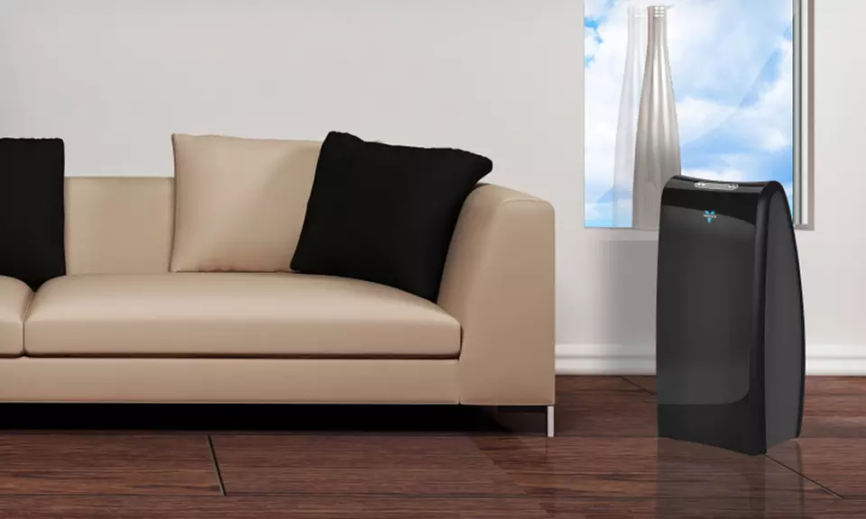 Vornado Whole-Room Air Purifier - Primary Image