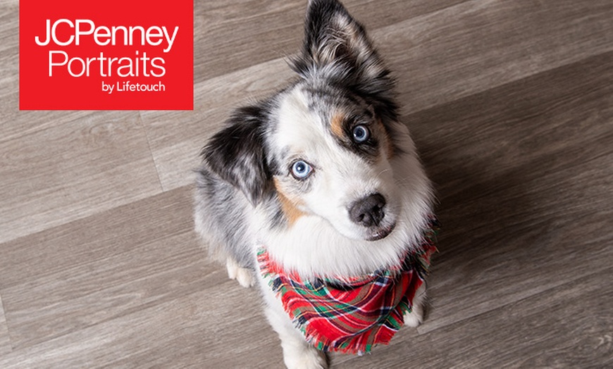 Image 2: JCPenney Portraits In-Studio Family & Pet Photography Sessions