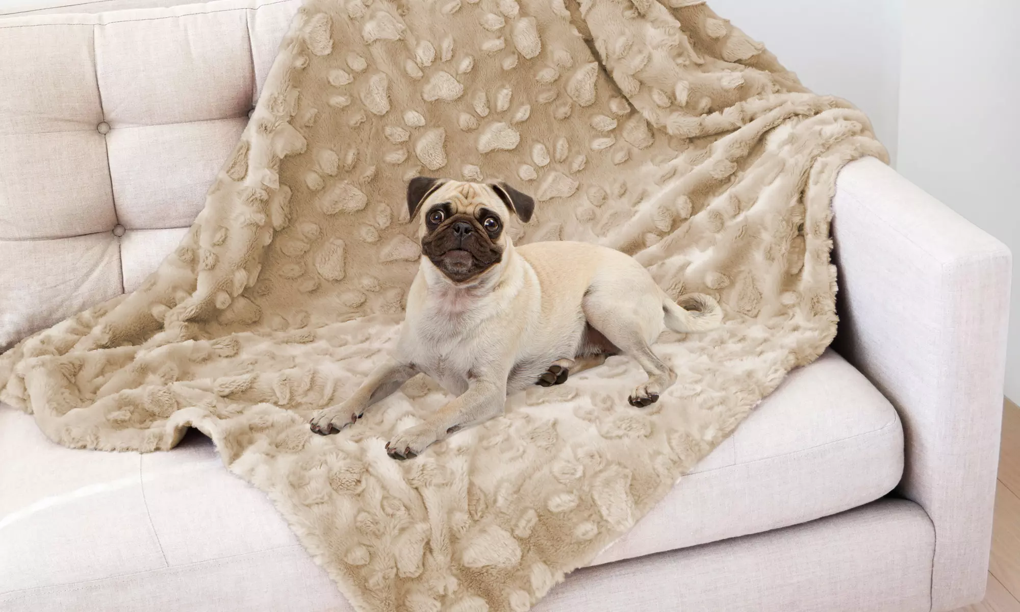 Paw-Embossed Plush Deluxe Pet Blanket - Primary Image