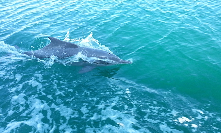 Image 3: Khasab Dhow Cruise