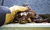 Gutter Cleaning Services from Window Scape Express (Up to 82% Off). Three Options Available.