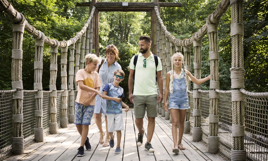 Image 9: Une journée féerique et givrée au Bellewaerde Park